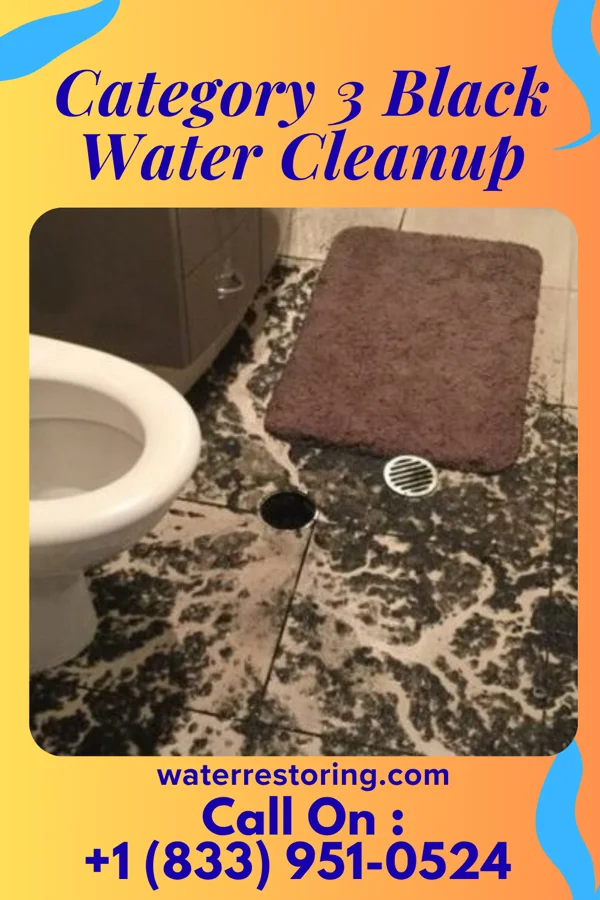 Category 3 Black Water Cleanup in Broadwater, NE