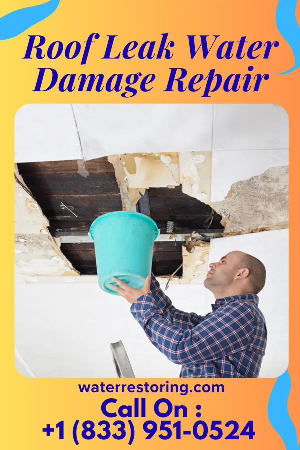 Roof Leak Water Damage Repair in Broadwater, NE